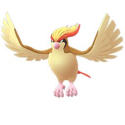 Pidgeot (Pokémon GO) .